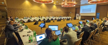 Plenum der europäischen Postregulierungsstellen in Wien